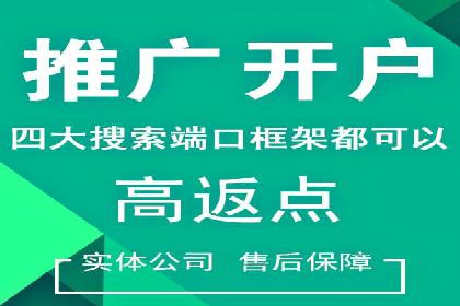 信息流代理实战：精准广告投放案例分析